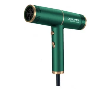 Daling sèche-cheveux électrique professionnel - DL-3013