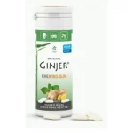 GINJER CHEWING-GUM GINGEMBRE MENTHE 30 G