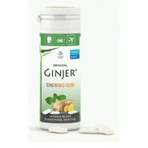 GINJER CHEWING-GUM GINGEMBRE MENTHE 30 G