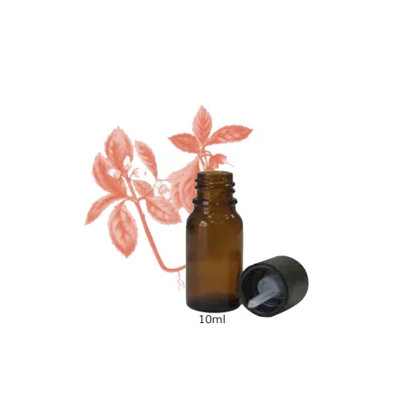 JERRAFLORE HUILE ESSENTIELLE GAULTHÉRIE 10ml