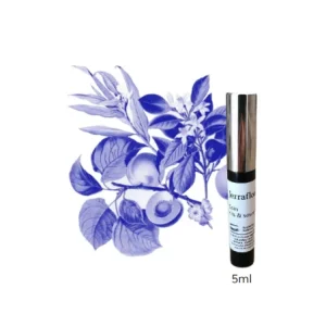 Jerraflore SOIN CILS & SOURCILS 5ml