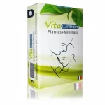 Vitallaitement 60 gelules